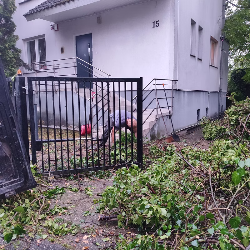 Zaniedbana działka.